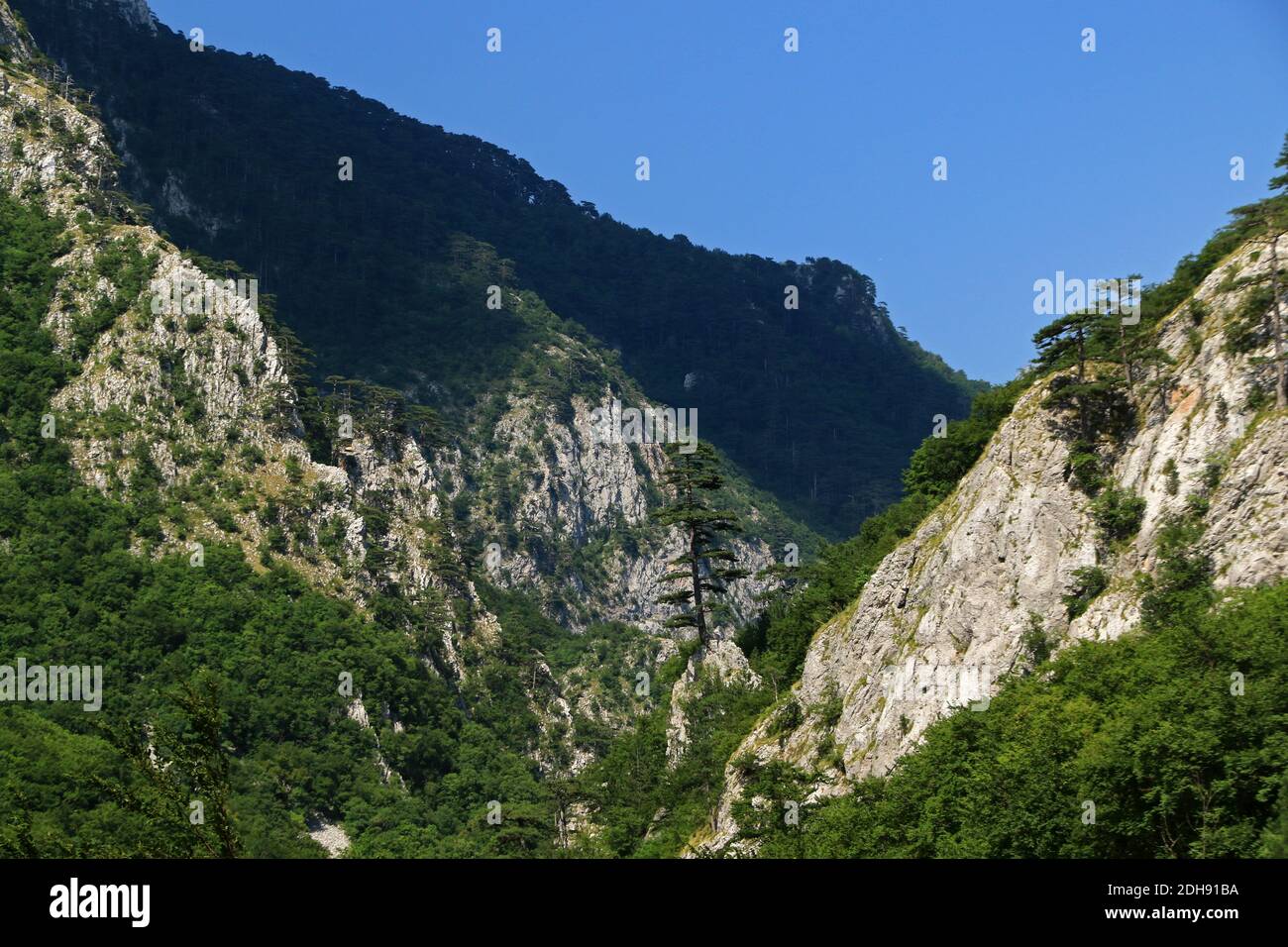 Sutjeska National Park, parco nazionale situato in Bosnia-Erzegovina Foto Stock