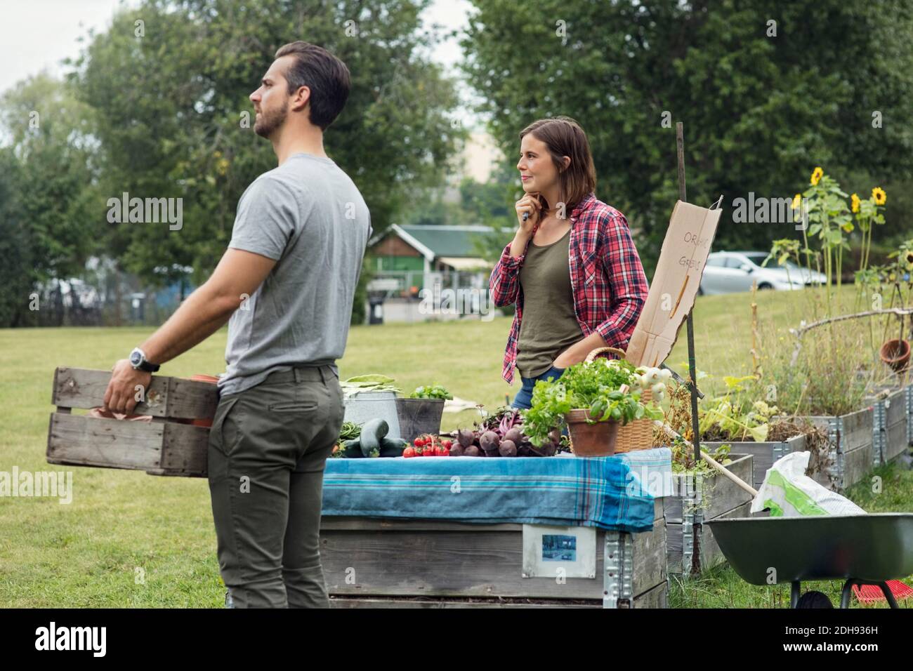 Coppia di metà adulto che vende verdure al giardino della comunità Foto Stock