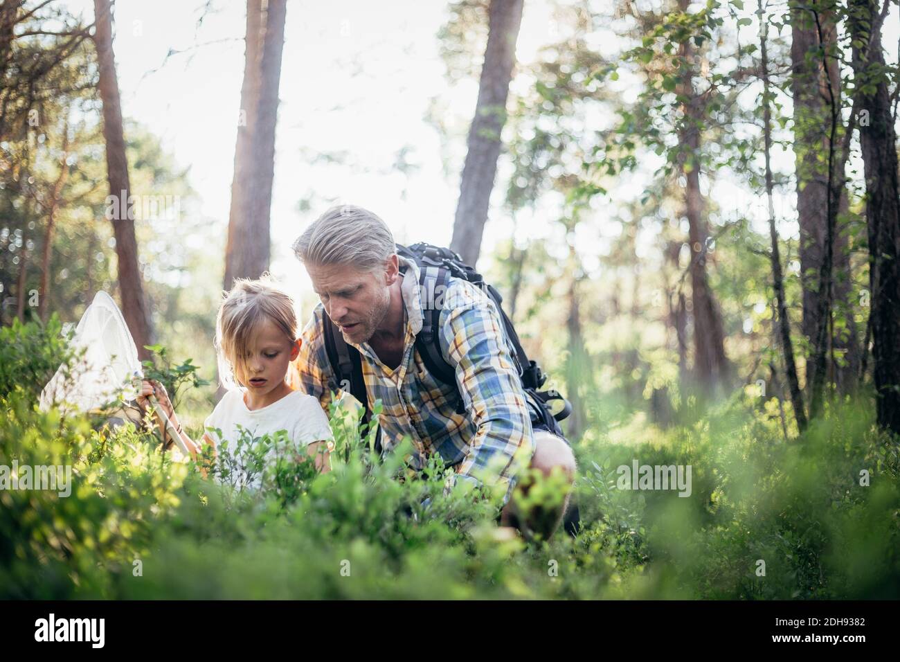 Padre e figlia raccolta rifiuti in foresta Foto Stock