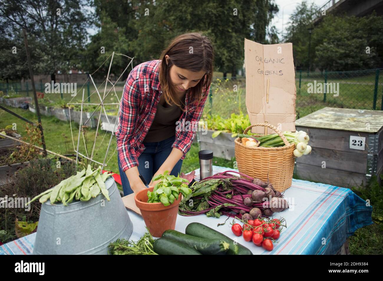Donna mid adulta in piedi al tavolo pieno di verdure da giardino Foto Stock