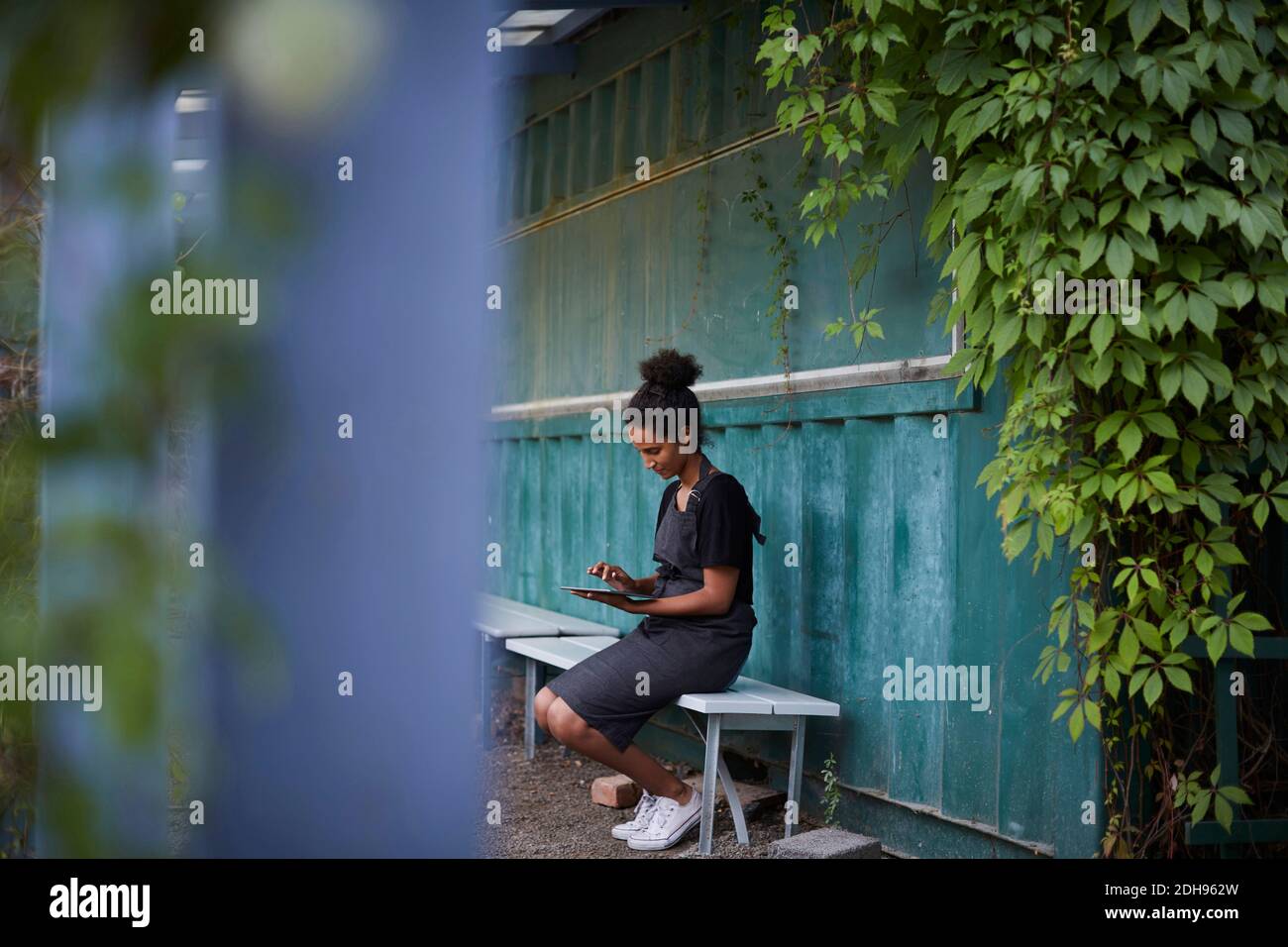 Donna giardiniere che usa un tablet digitale mentre si siede sul banco Foto Stock
