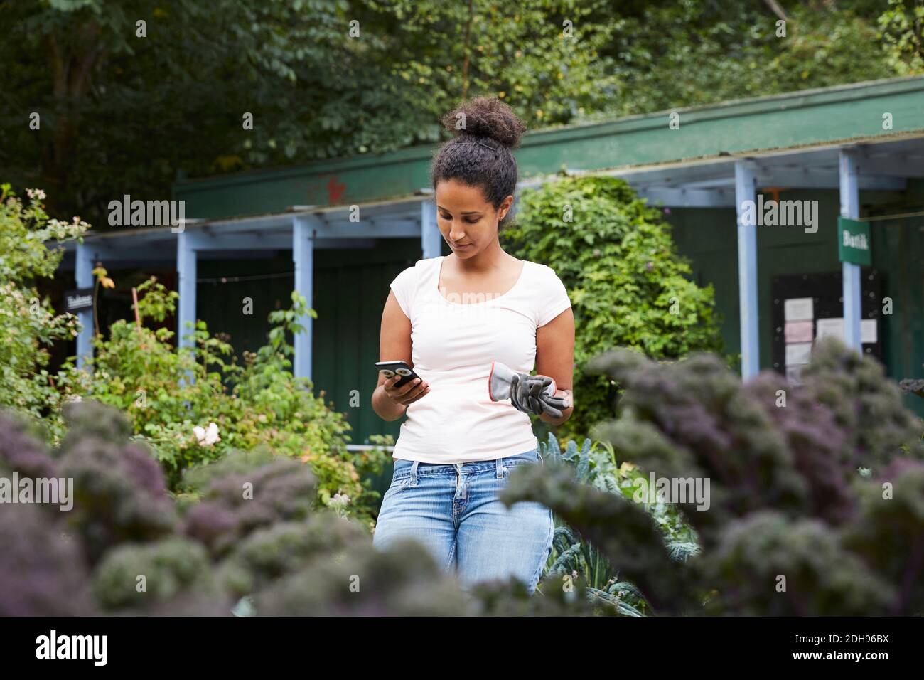 Donna giardiniere utilizzando il telefono cellulare tra le piante Foto Stock
