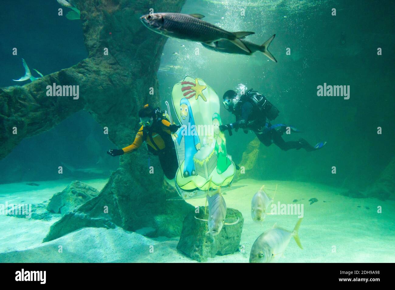 Madrid, Spagna. 10 dicembre 2020. Due subacquei collocano parte della tradizionale Presepe di Natale sott'acqua all'interno dell'acquario dello Zoo di Madrid. Credit: Marcos del Mazo/Alamy Live News Foto Stock