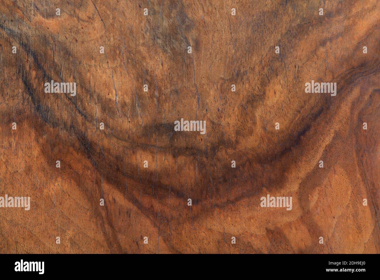 Dettagli di sfondo con struttura in legno Briar Foto Stock