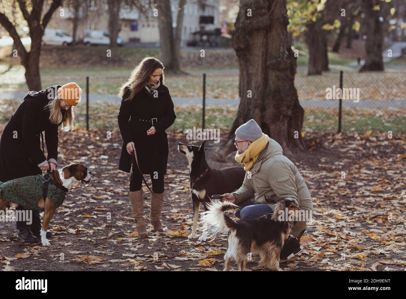 I proprietari di animali domestici di lunghezza intera maschio e femmina con i cani a. parcheggio Foto Stock