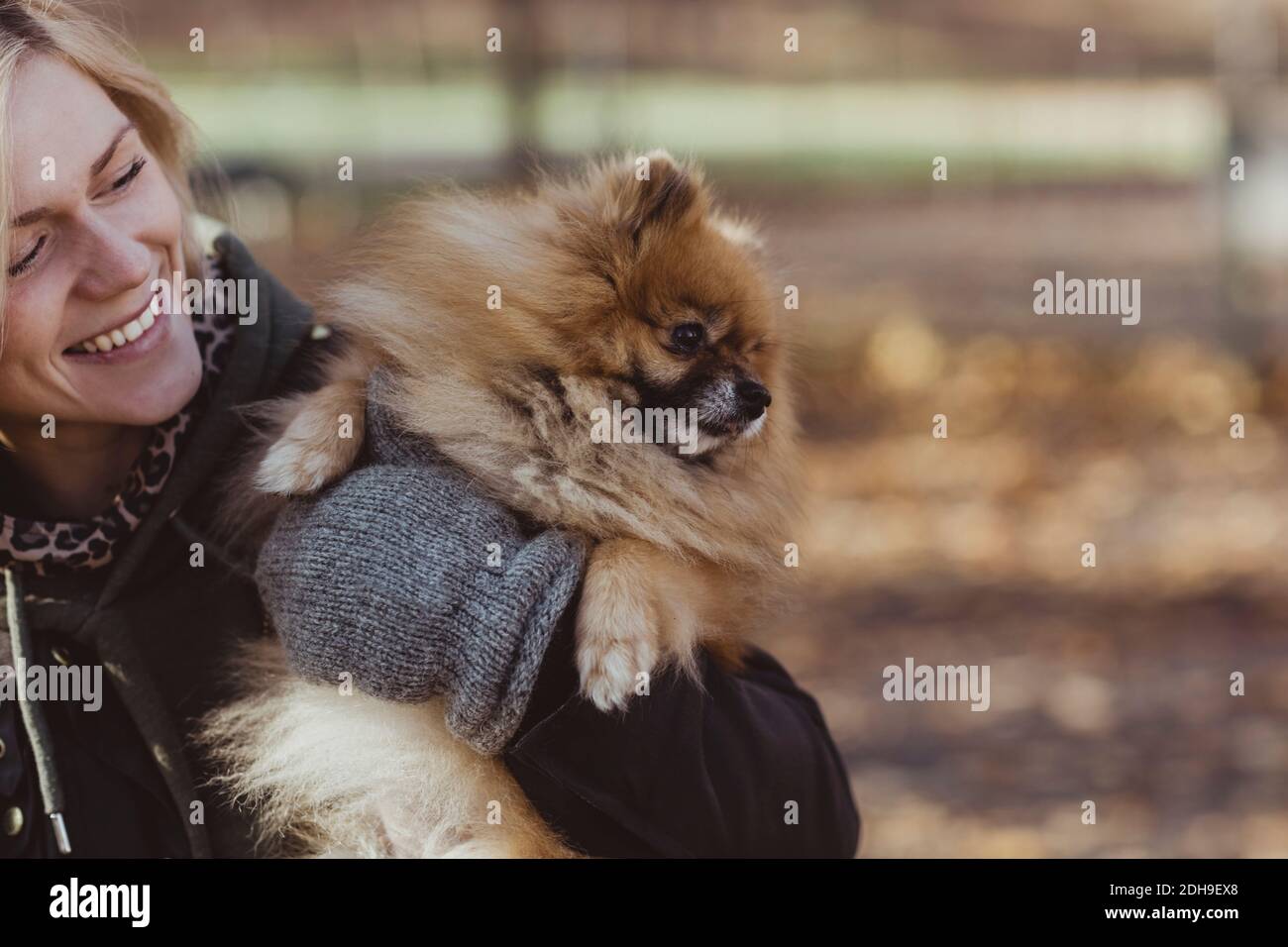 Donna sorridente abbracciando il cane peloso Pomeranian al parco Foto Stock