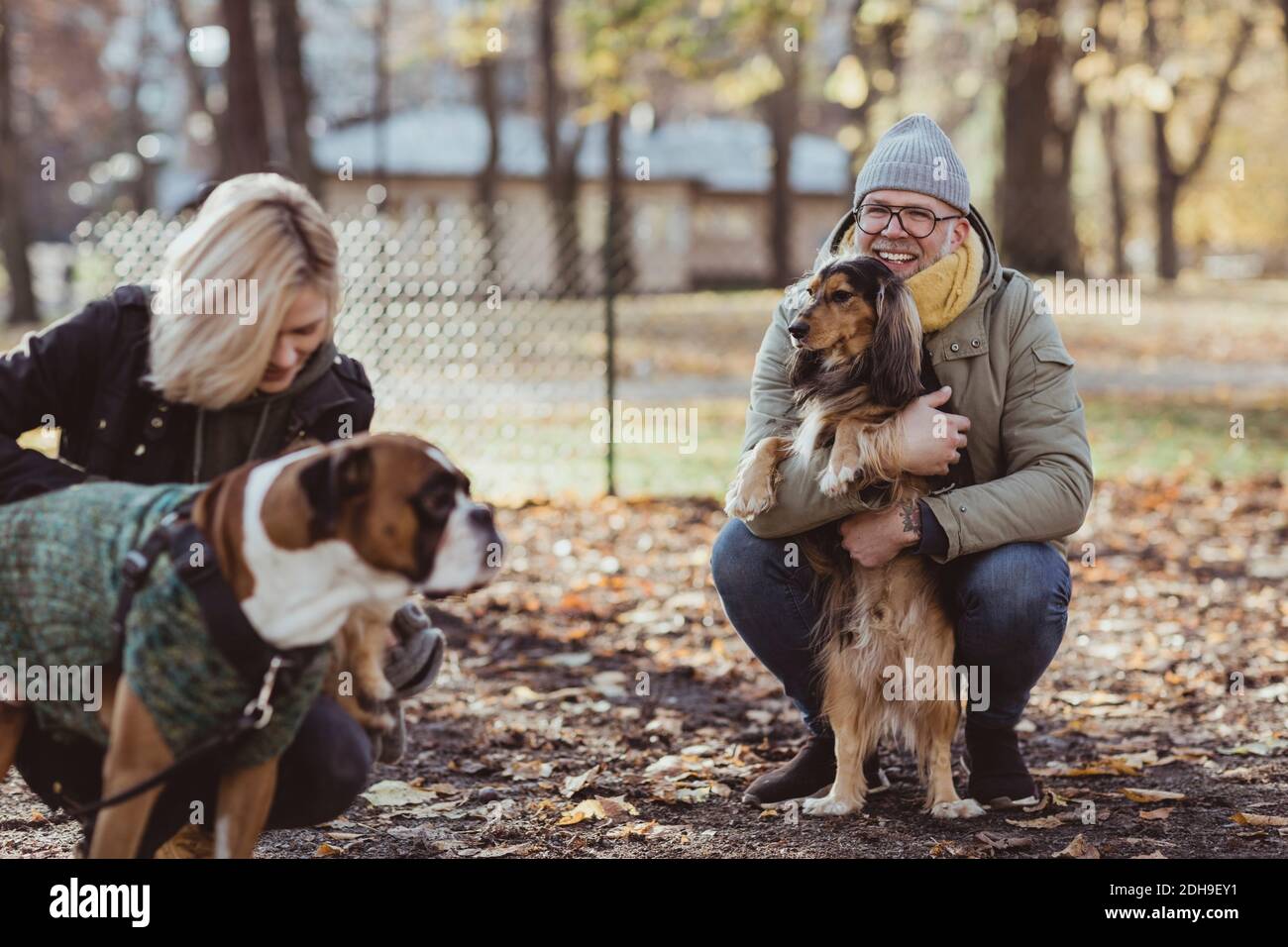 Uomo sorridente accovacciato mentre abbracciando l'animale domestico e guardando la donna con cane da boxe Foto Stock