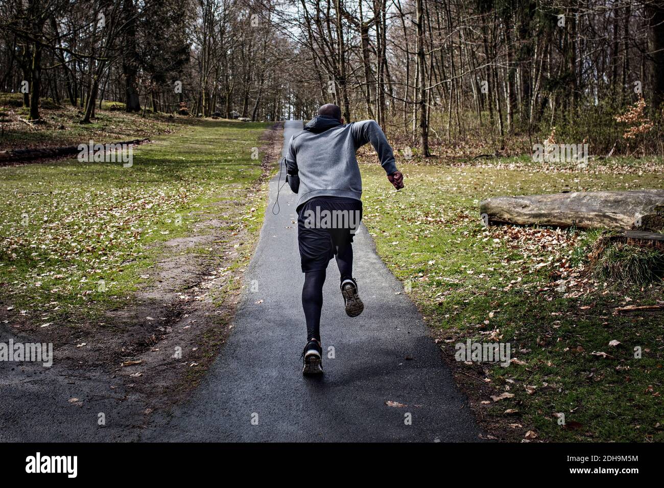 Vista posteriore completa di un determinato atleta maschile che fa jogging strada stretta nella foresta Foto Stock