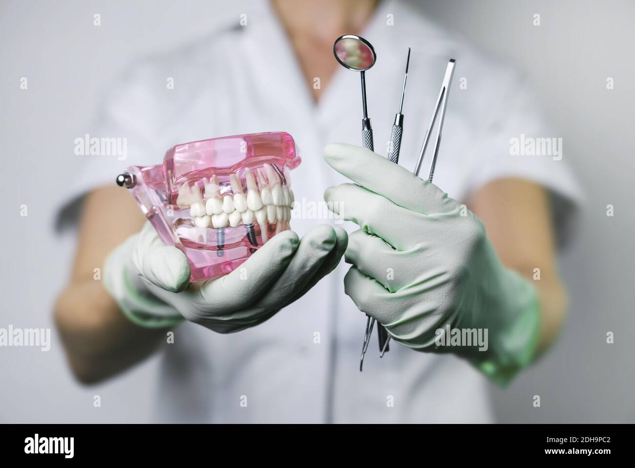 dentista che tiene il modello dei denti della mascella e gli attrezzi dentali nelle mani Foto Stock