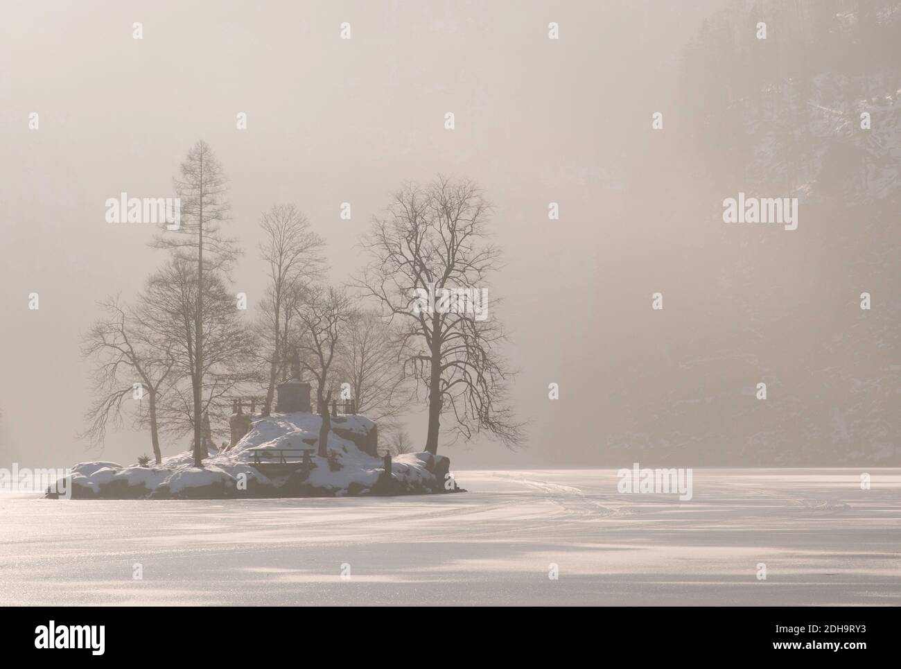 Isola nel Mist, Konigssee, Germania Foto Stock