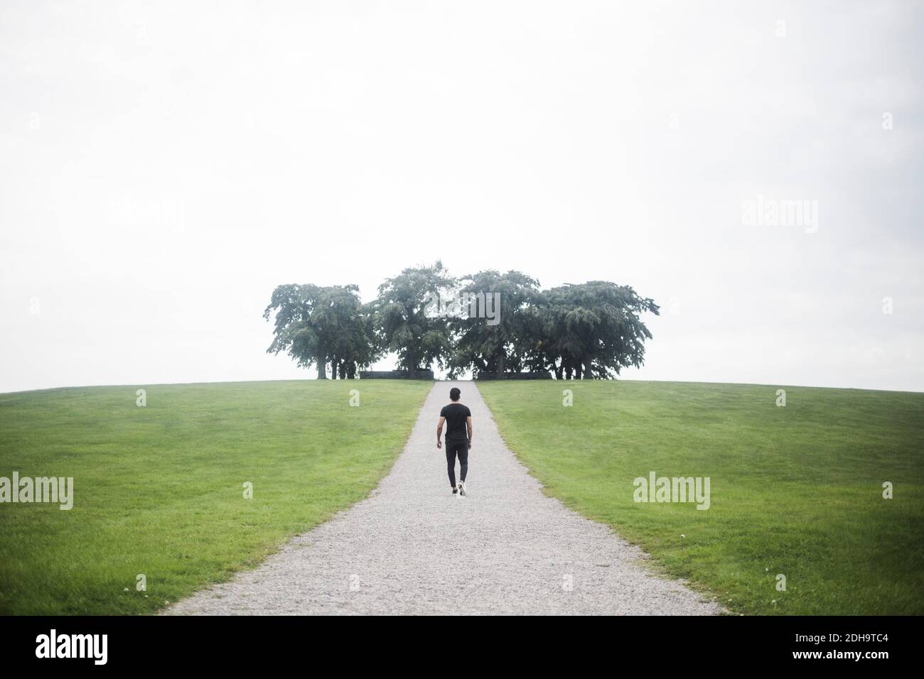 Vista posteriore dell'uomo che cammina sul sentiero verso gli alberi in mezzo terra erbosa Foto Stock