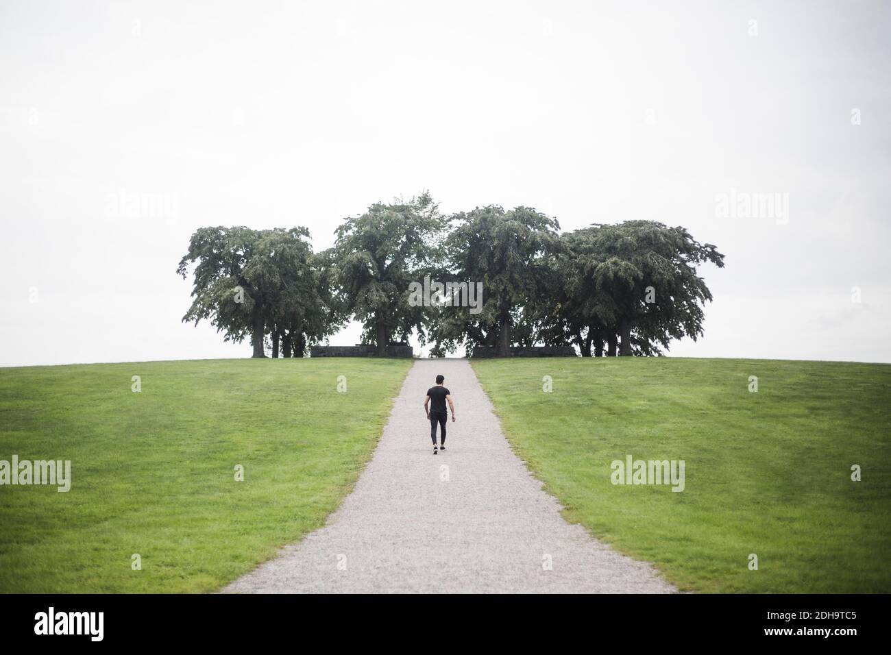 Vista a metà distanza del giovane uomo che cammina sul sentiero tra terra erbosa contro gli alberi e il cielo Foto Stock