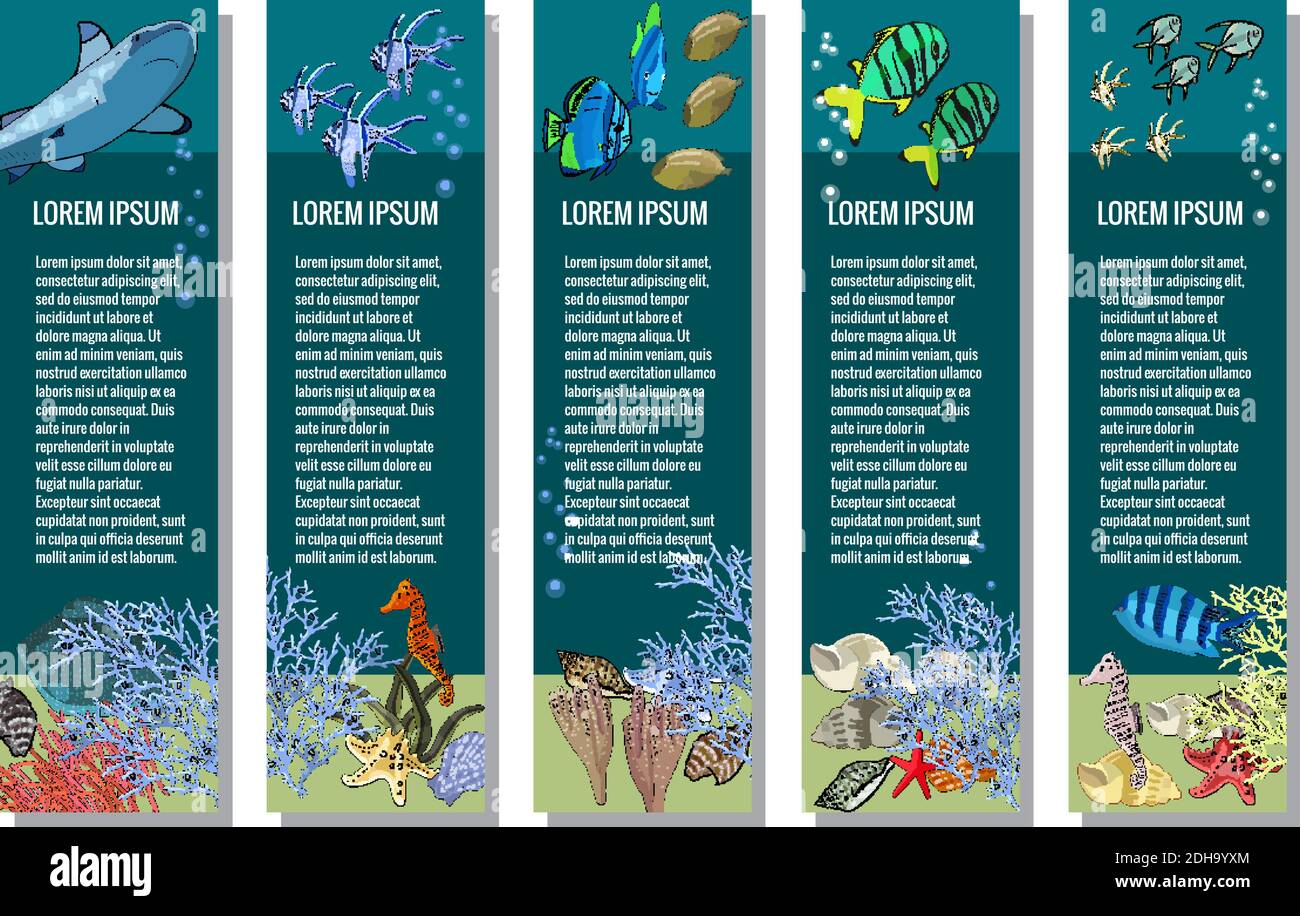 Serie vettoriale di striscioni verticali. Creature oceaniche sottomarine. Animali di mare - squalo, pesci tropicali, coralli, cavallucci marini, conchiglie, stelle marine, razze, alga Illustrazione Vettoriale