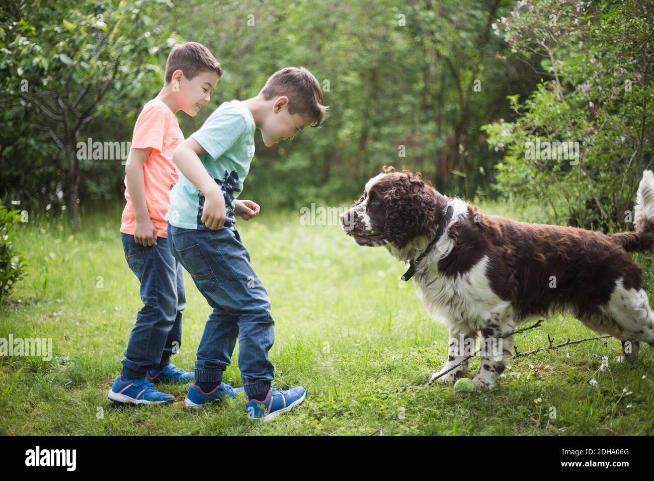 I fratelli gemelli giocano con il cane sull'erba nel cortile posteriore Foto Stock