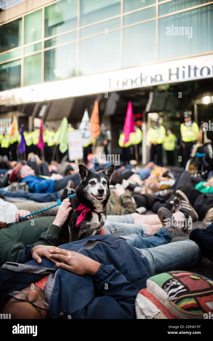 Londra, Regno Unito - 24 aprile 2019: Estinzione della ribellione internazionale di Rebellion a Londra Foto Stock