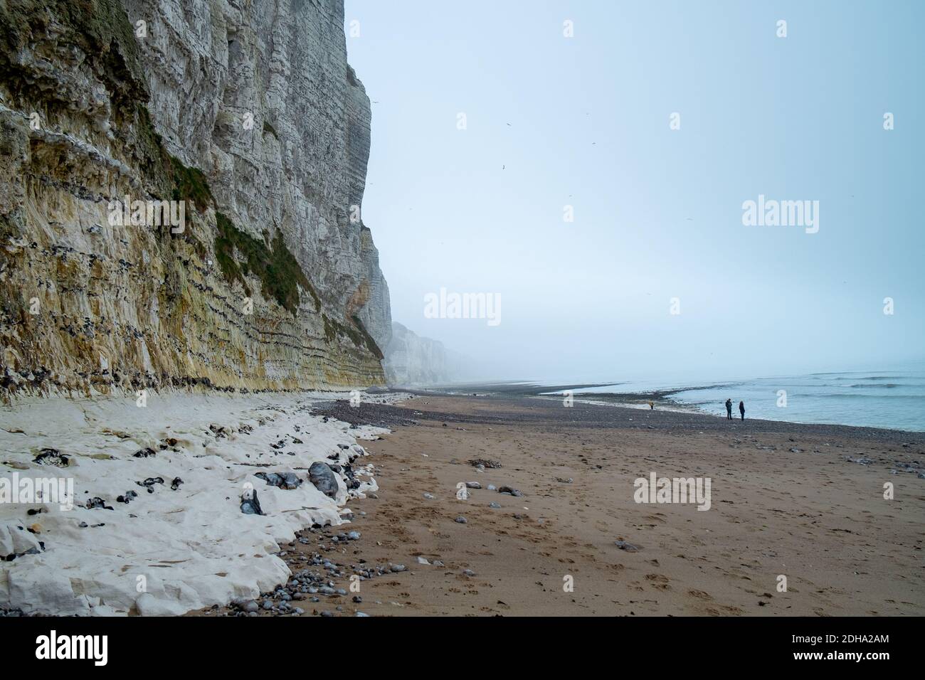 Misty mattina nebbia paesaggio sulle scogliere di Etretat in Francia Foto Stock