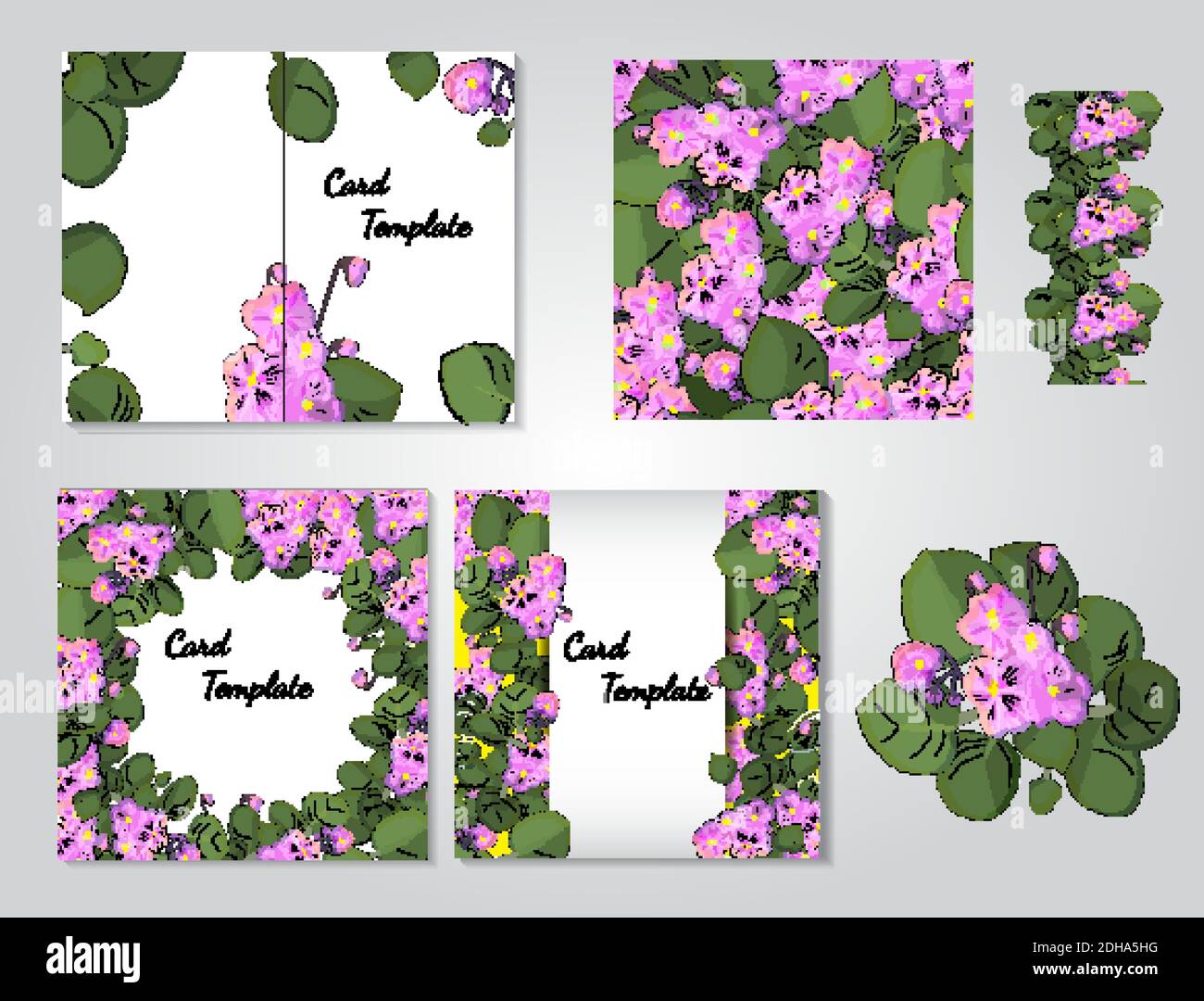 Serie vettoriale di violette africane fiorite con fiori di diverso colori isolati su sfondo bianco Illustrazione Vettoriale