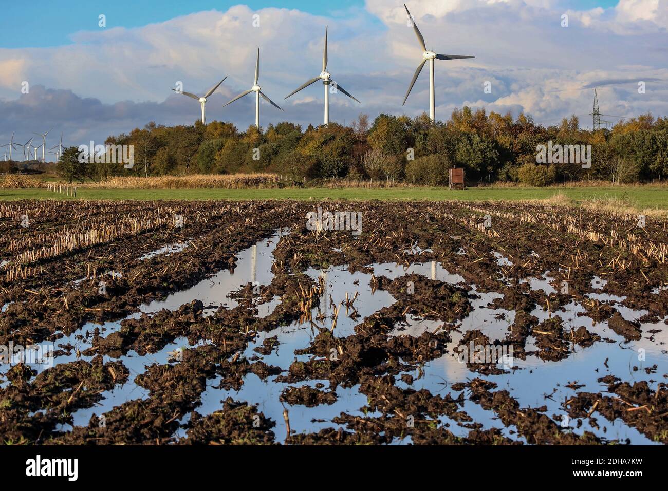 Le inondazioni hanno colpito immensamente gli agricoltori. La prognosi per il futuro non è buona a causa del cambiamento climatico. Foto Stock