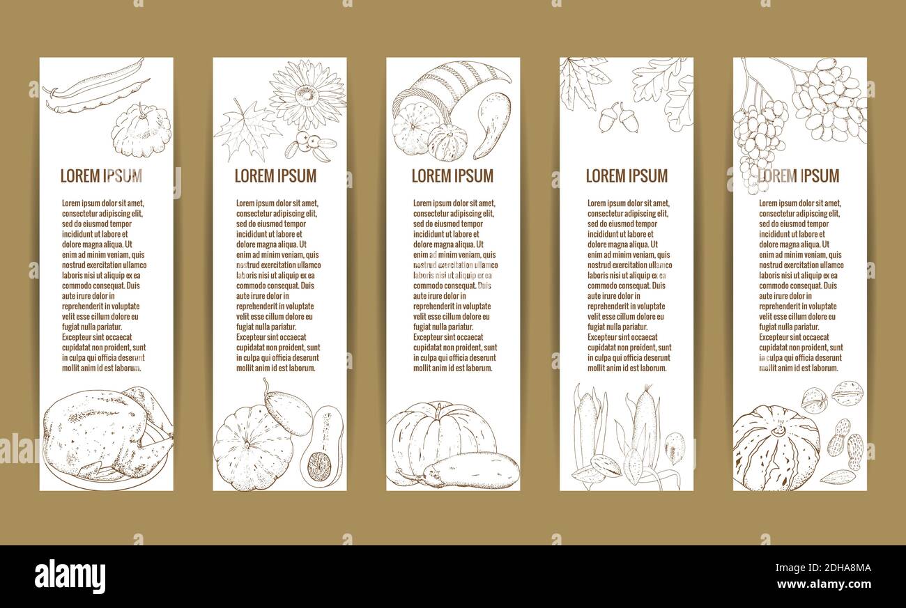 Striscioni orizzontali per il Ringraziamento con tacchino, torta di zucca, cornucopia, zucche colorate, altre verdure, frutta, bacche e foglie. Illustrazione Vettoriale