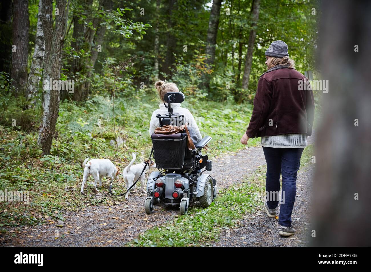 Vista posteriore di giovane custode con donna e cane disabili in foresta Foto Stock