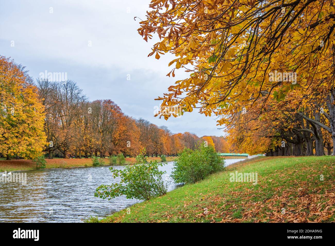 Colori di autunno Foto Stock