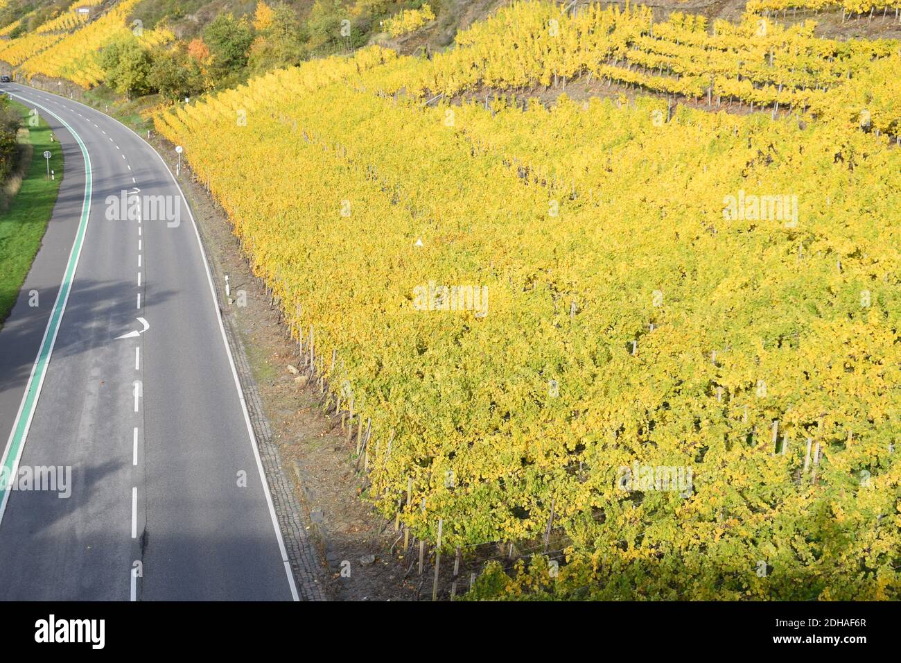 Colori autunnali nella valle del Mosel vicino a Niederfell Foto Stock