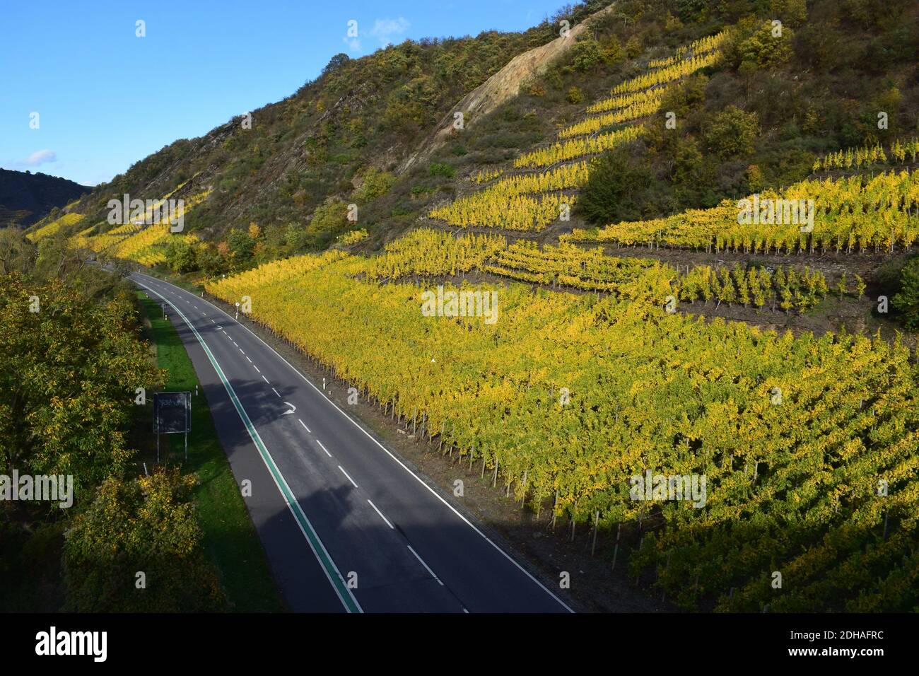 Colori autunnali nella valle del Mosel vicino a Niederfell Foto Stock