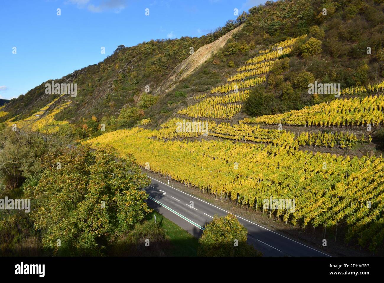 Colori autunnali nella valle del Mosel vicino a Niederfell Foto Stock