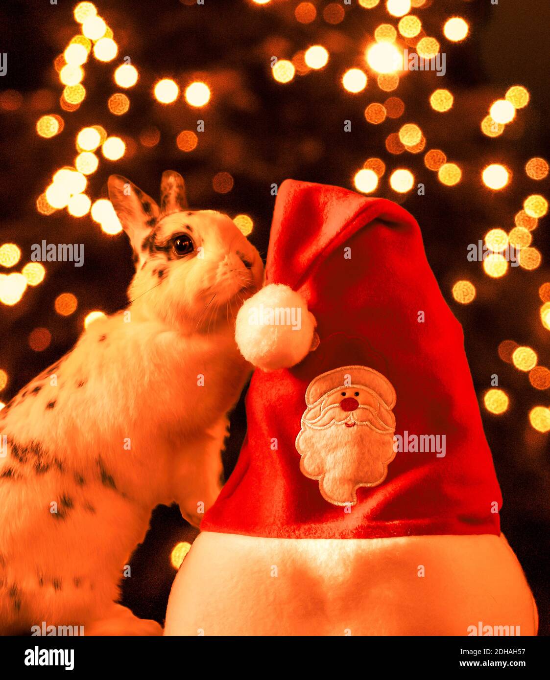 Goebel 66885815 Statuetta Natale Coniglietto Con Cappello Di Babbo Natale In Terracotta 5 Cm - 2