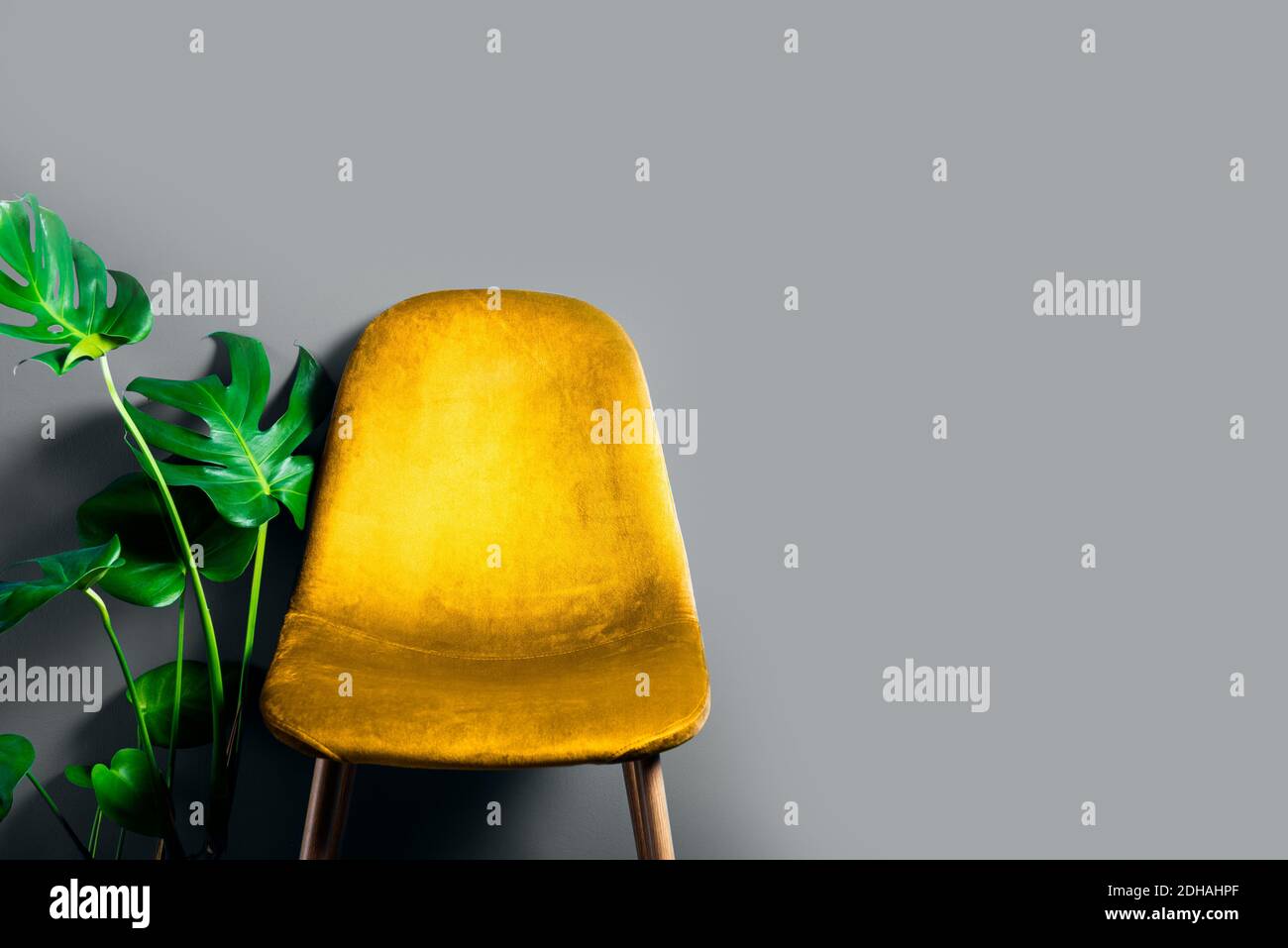 Moderna sedia in velluto gialla su gambe in legno Foto Stock