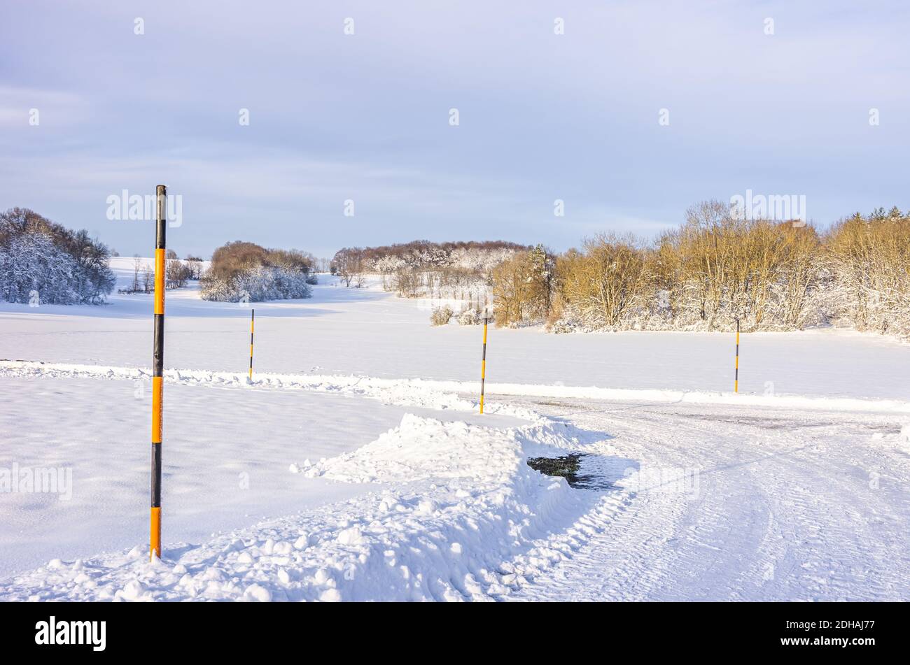 Pali da neve ai margini di una corsia di campagna in un paesaggio invernale. Foto Stock