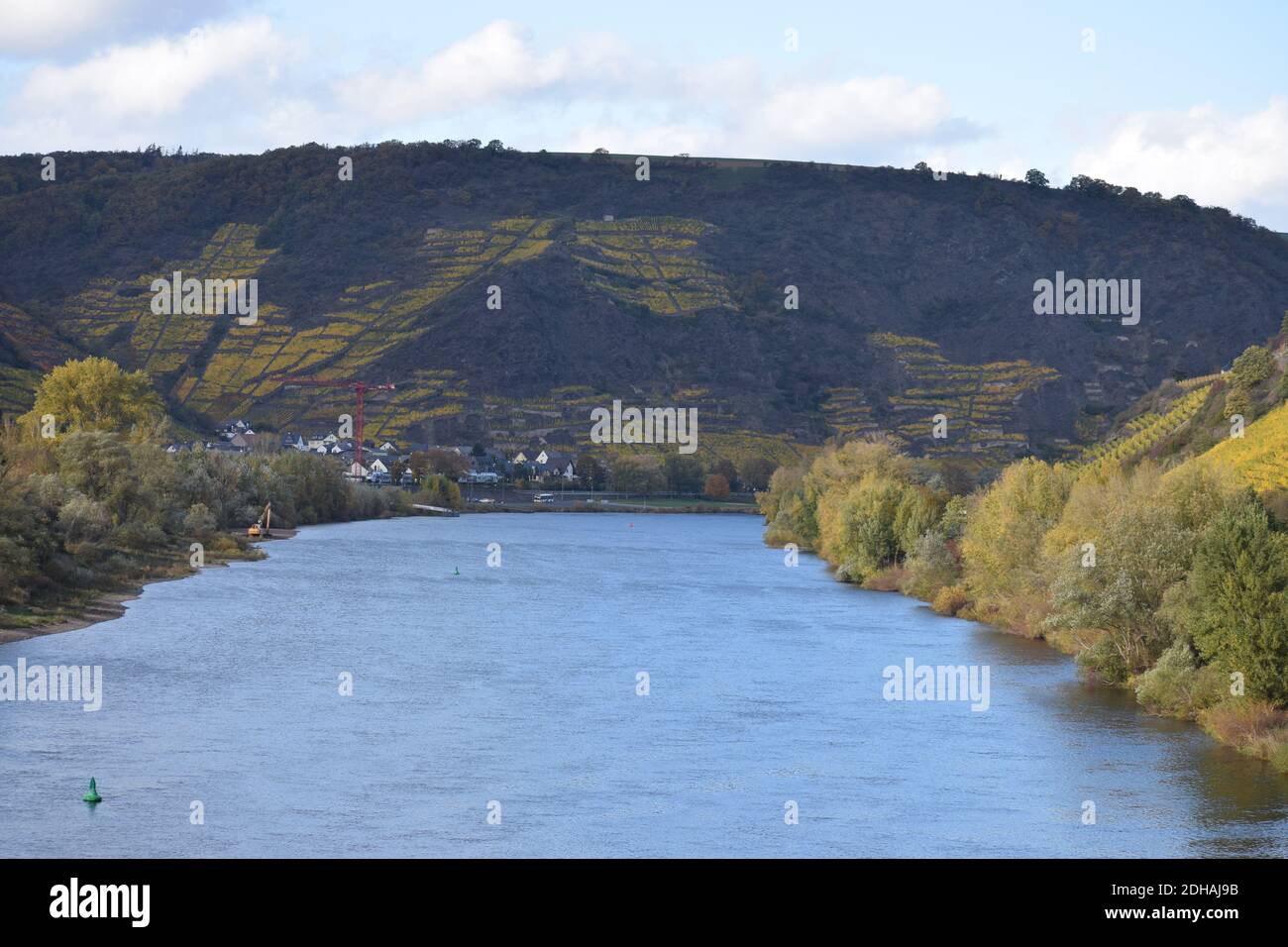 Colori autunnali nella valle del Mosel vicino a Niederfell Foto Stock