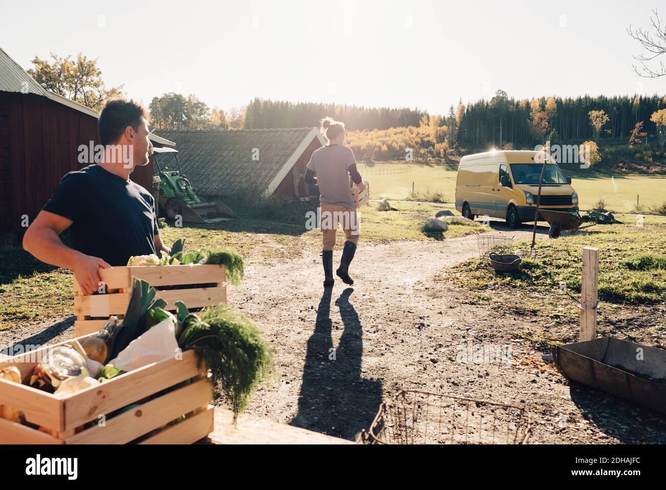 Uomini adulti medi che trasportano le casse piene di verdure agli agricoltori mercato Foto Stock