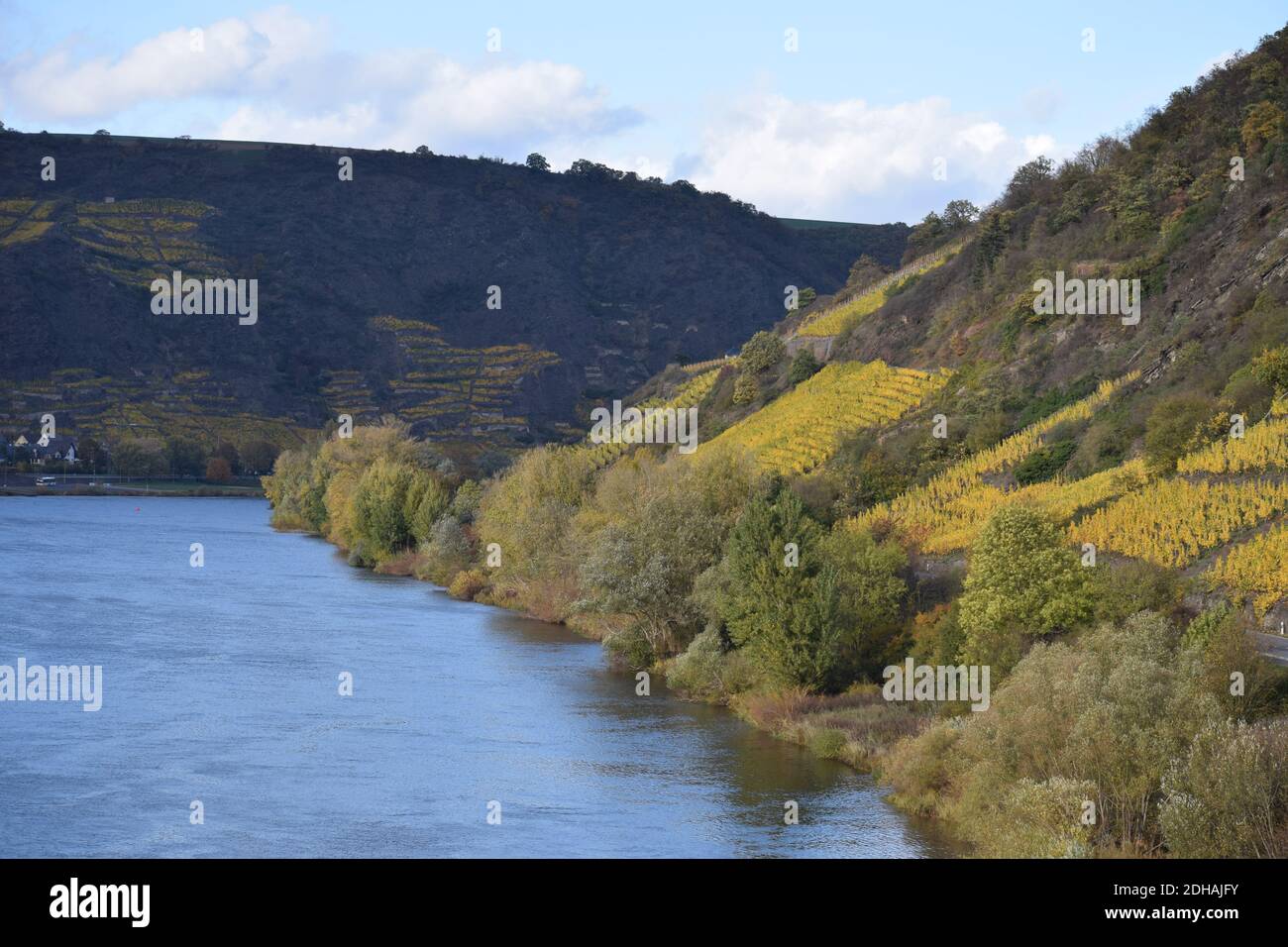 Colori autunnali nella valle del Mosel vicino a Niederfell Foto Stock