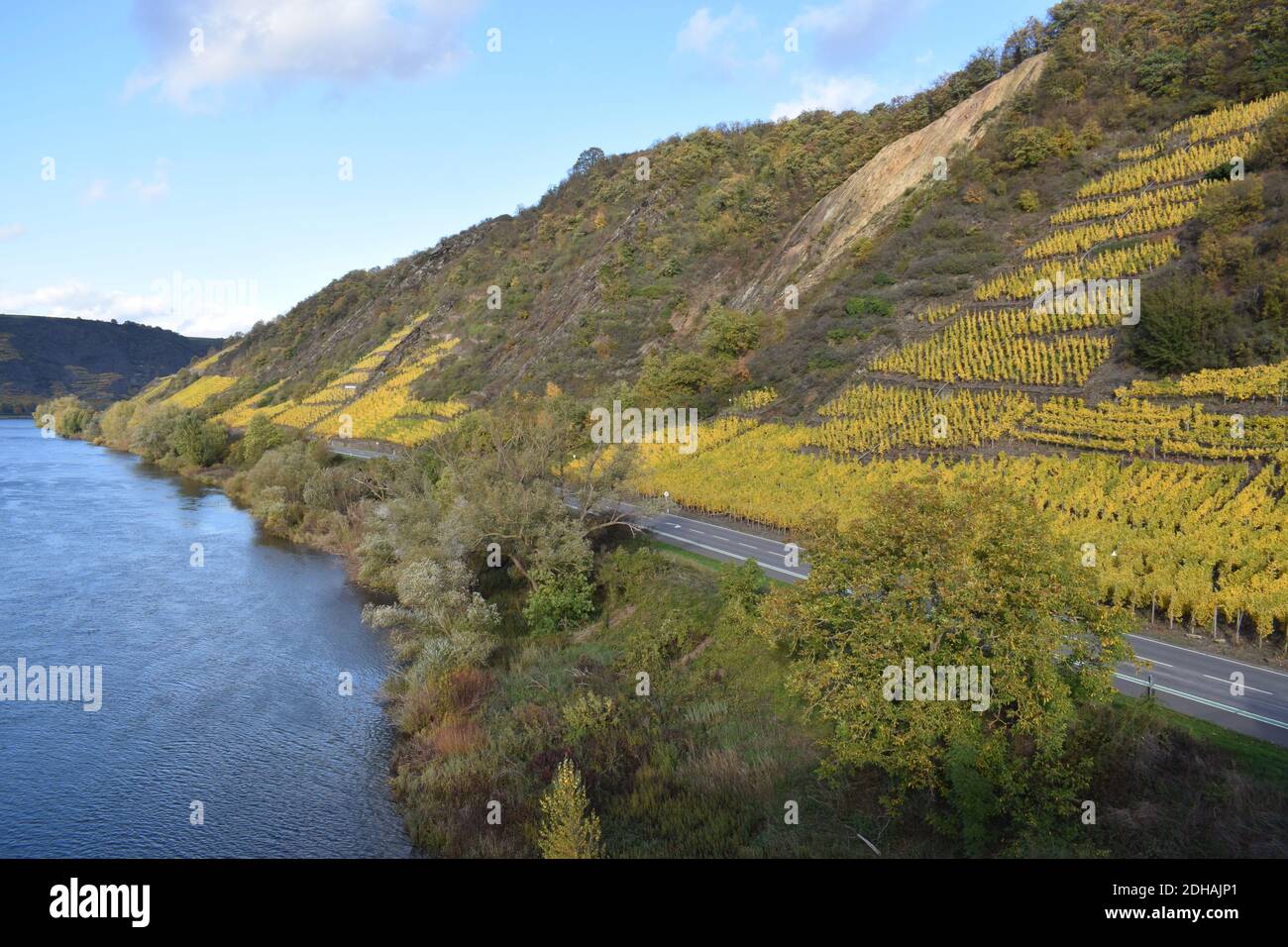 Colori autunnali nella valle del Mosel vicino a Niederfell Foto Stock