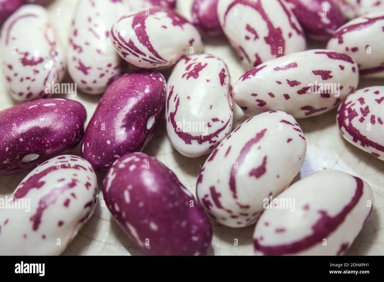 Dettaglio di alcuni fagioli borlotti freschi (fagioli di mirtillo) con la caratteristica pelle macchiata Foto Stock