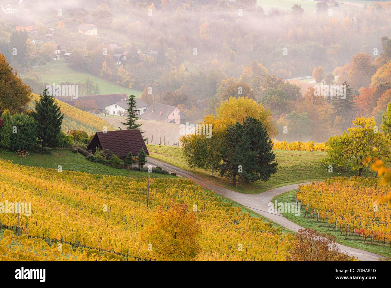 Vista autunnale dalla strada della Stiria meridionale in Austria sulle colline slovene durante il sorgere del sole. Foto Stock