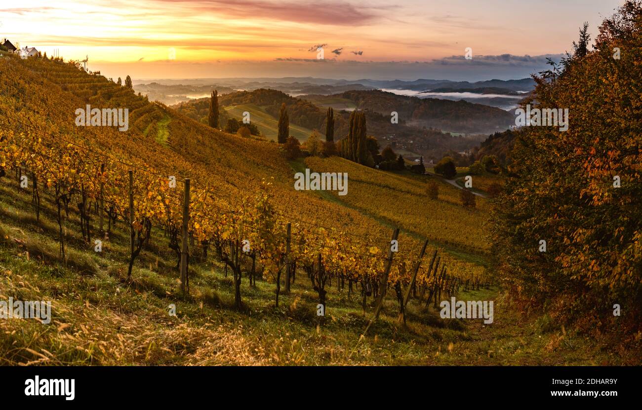 Vista autunnale dalla strada della Stiria meridionale in Austria sulle colline slovene durante il sorgere del sole. Foto Stock