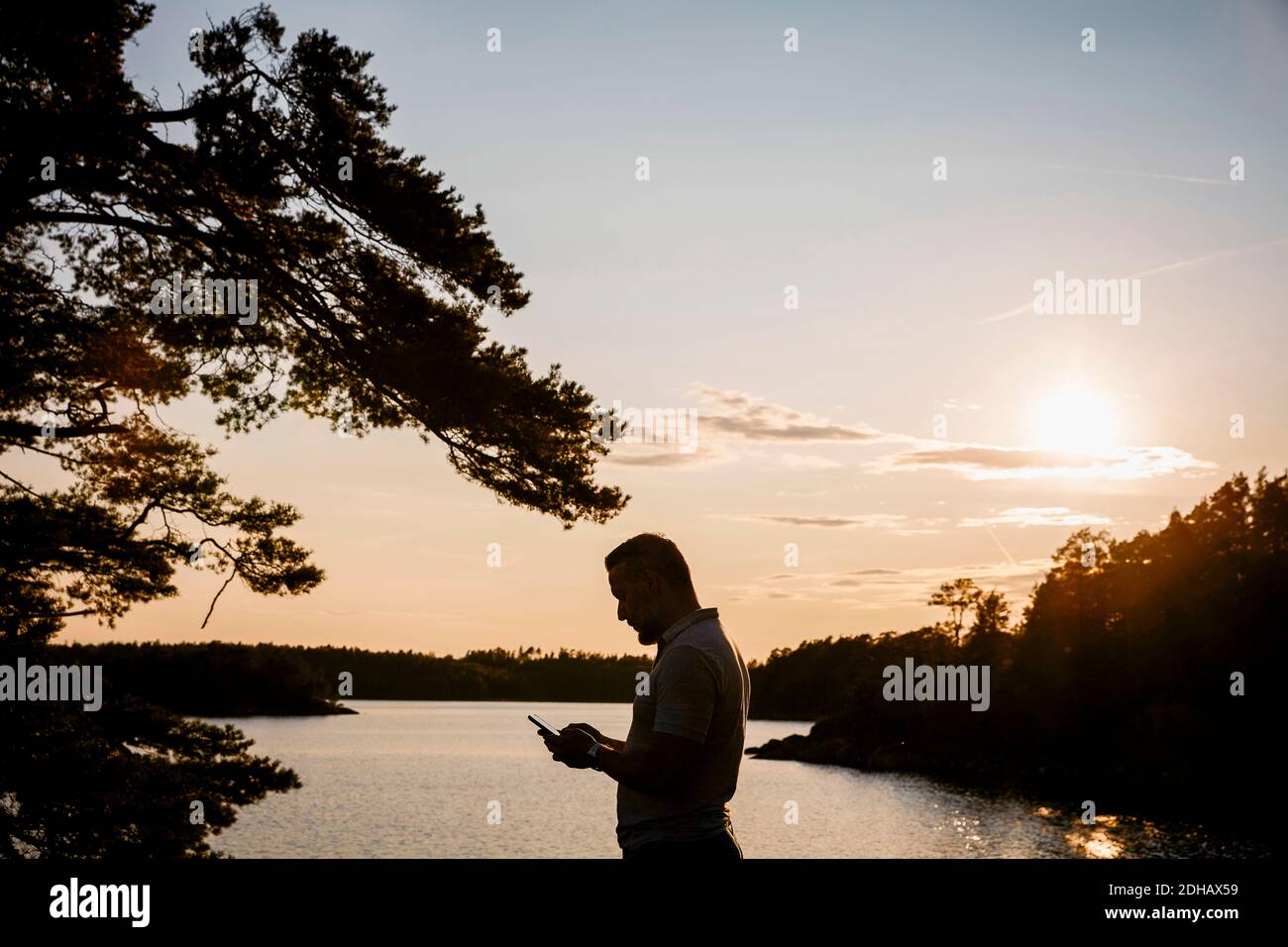 Silhouette uomo utilizzando smartphone mentre si è in piedi al lago durante tramonto Foto Stock