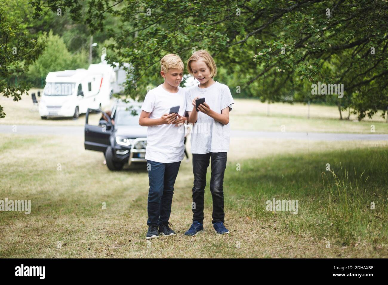 Ragazza che mostra il telefono cellulare al fratello mentre si trova in campeggio sito Foto Stock