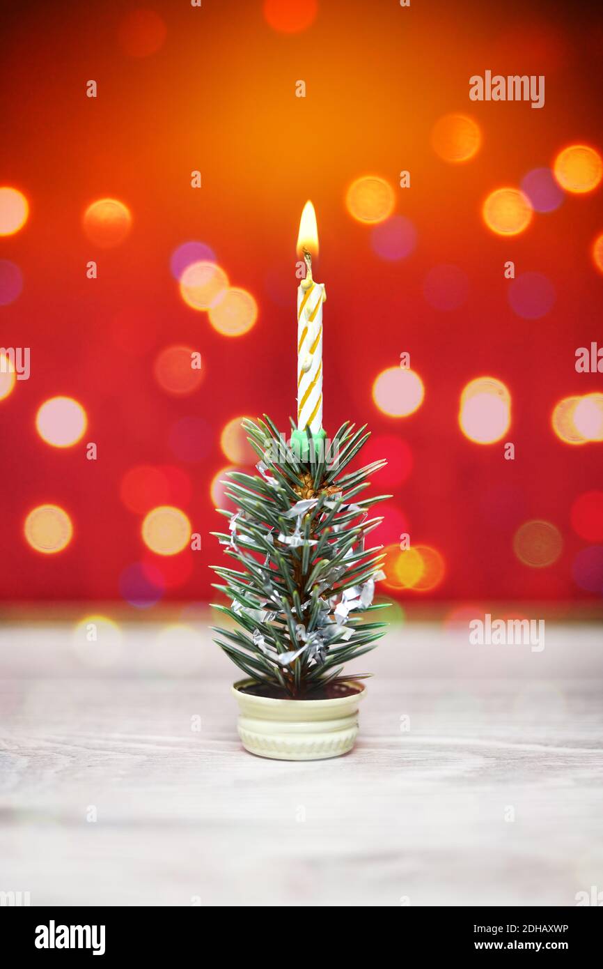 Mini-Weihnachtsbaum Foto Stock