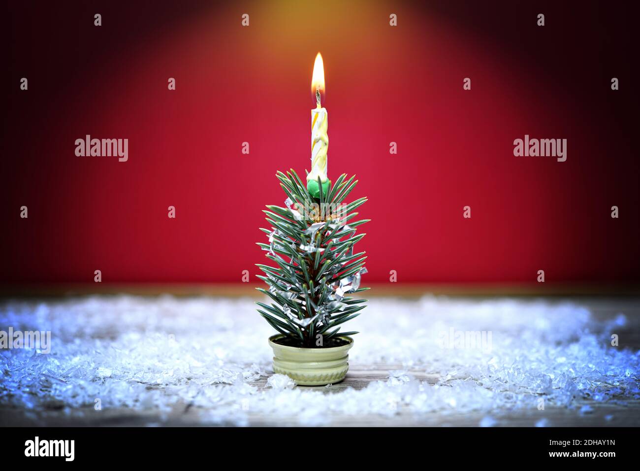 Mini-Weihnachtsbaum Foto Stock