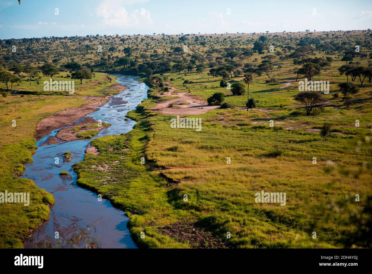 Savannah paesaggio nel Serengeti Foto Stock