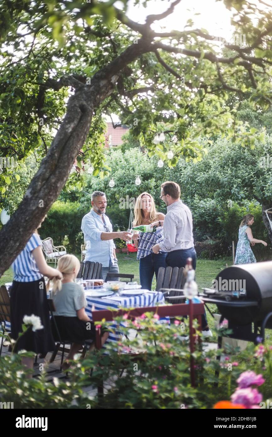Gli amici si divertono a bere insieme in una festa in giardino mentre si intreccia una donna i capelli della sorella Foto Stock
