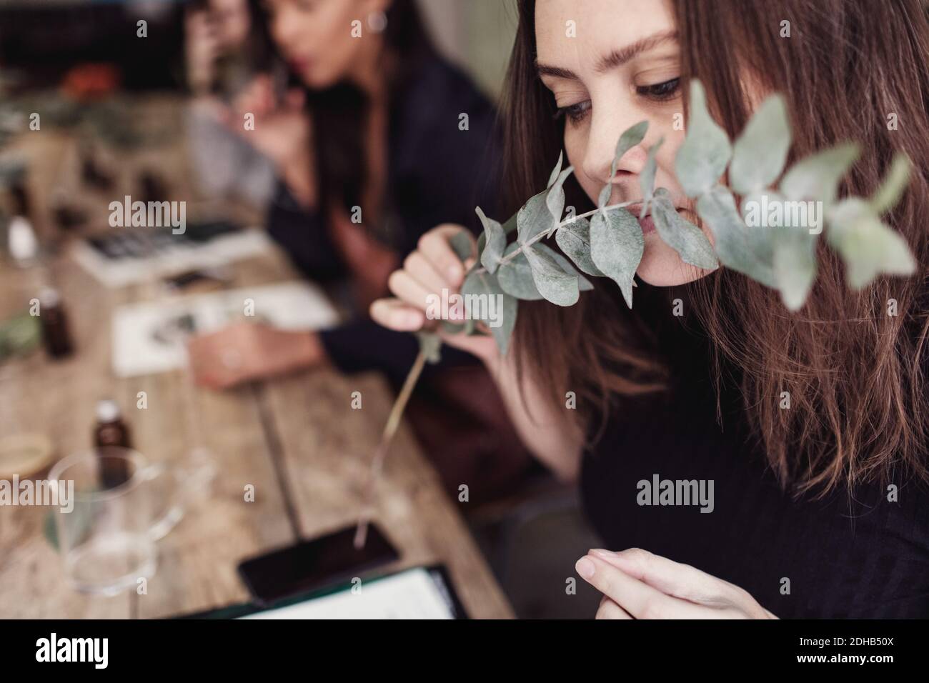 Donna che odora le foglie mentre si siede a tavola in laboratorio di profumo Foto Stock