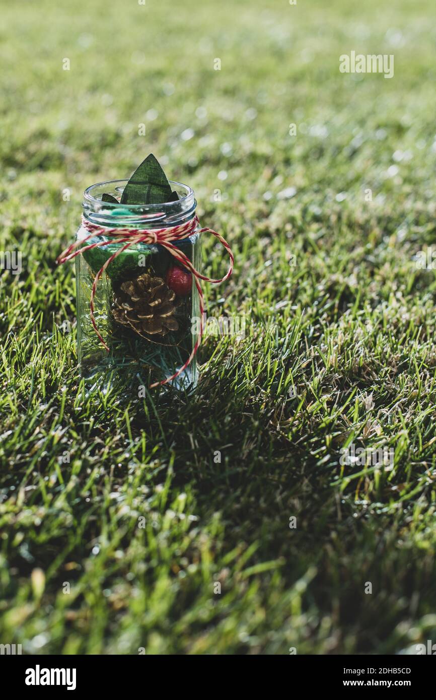 Decorazioni natalizie in un vaso con nastro in giardino sull'erba Foto Stock