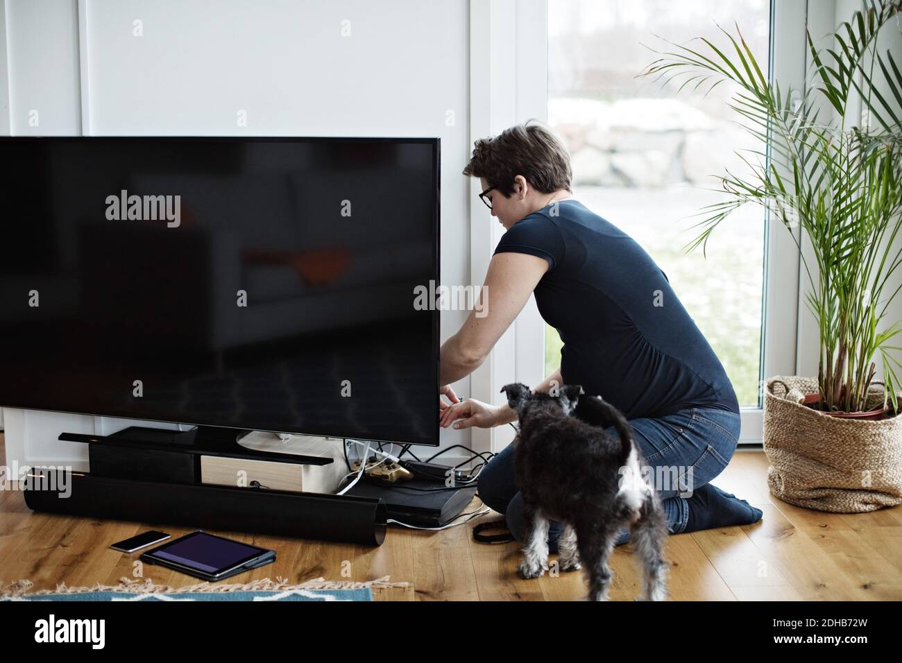 Donna incinta che dispone i cavi del televisore mentre si inginocchiava cane in soggiorno Foto Stock