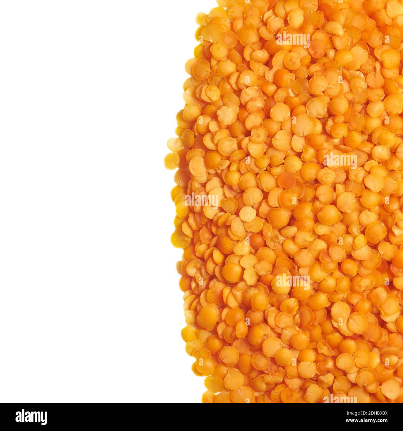 Primo piano immagine di lenticchie gialle isolate su sfondo bianco. Foto Stock