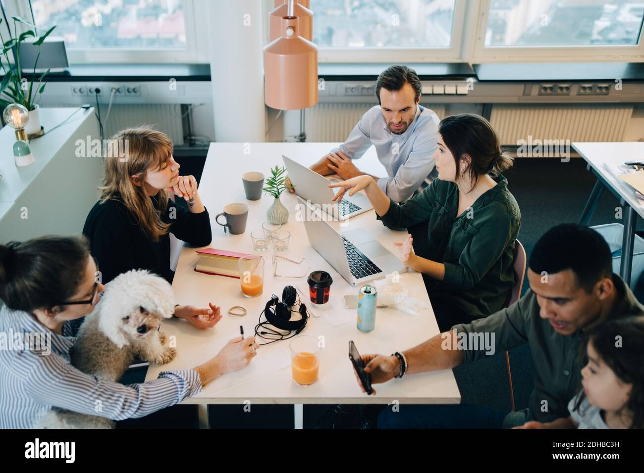 Vista ad alta angolazione delle persone in viaggio d'affari che si siedono con il ragazzo e. cane alla scrivania in ufficio creativo Foto Stock