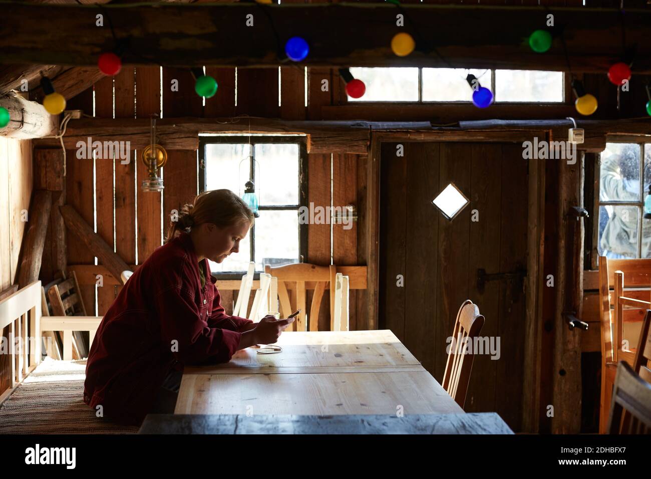 Vista laterale di una giovane donna che utilizza lo smartphone mentre è seduto al tavolo in cabina di tronchi Foto Stock